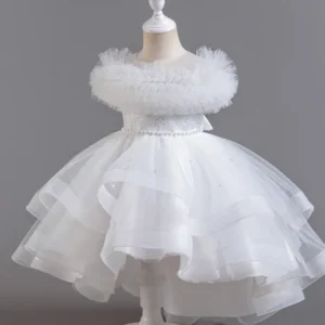 1 62.webp